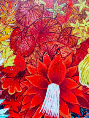 Claudine Suret-Canale - De rode vogels kopen? Bied vanaf 300!