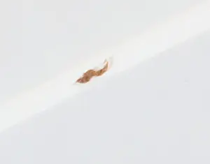 Toon Kuijpers - Giclée, Business I - Ingelijst kopen? Bied vanaf 40!