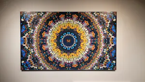 Damien Hirst - Psychedelic - Handgesigneerd - 180 exemplaren kopen? Bied vanaf 7995!