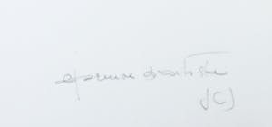 JCJ VANDERHEYDEN - Zeefdruk, Deshima kopen? Bied vanaf 100!