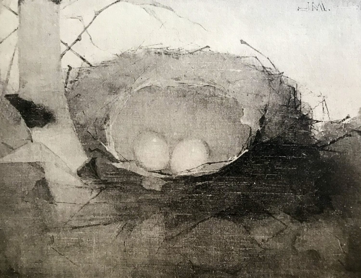 Jan Mankes - Originele Heliogravure Vogelnest bij Berkenstam 1923 verkocht voor € 1!