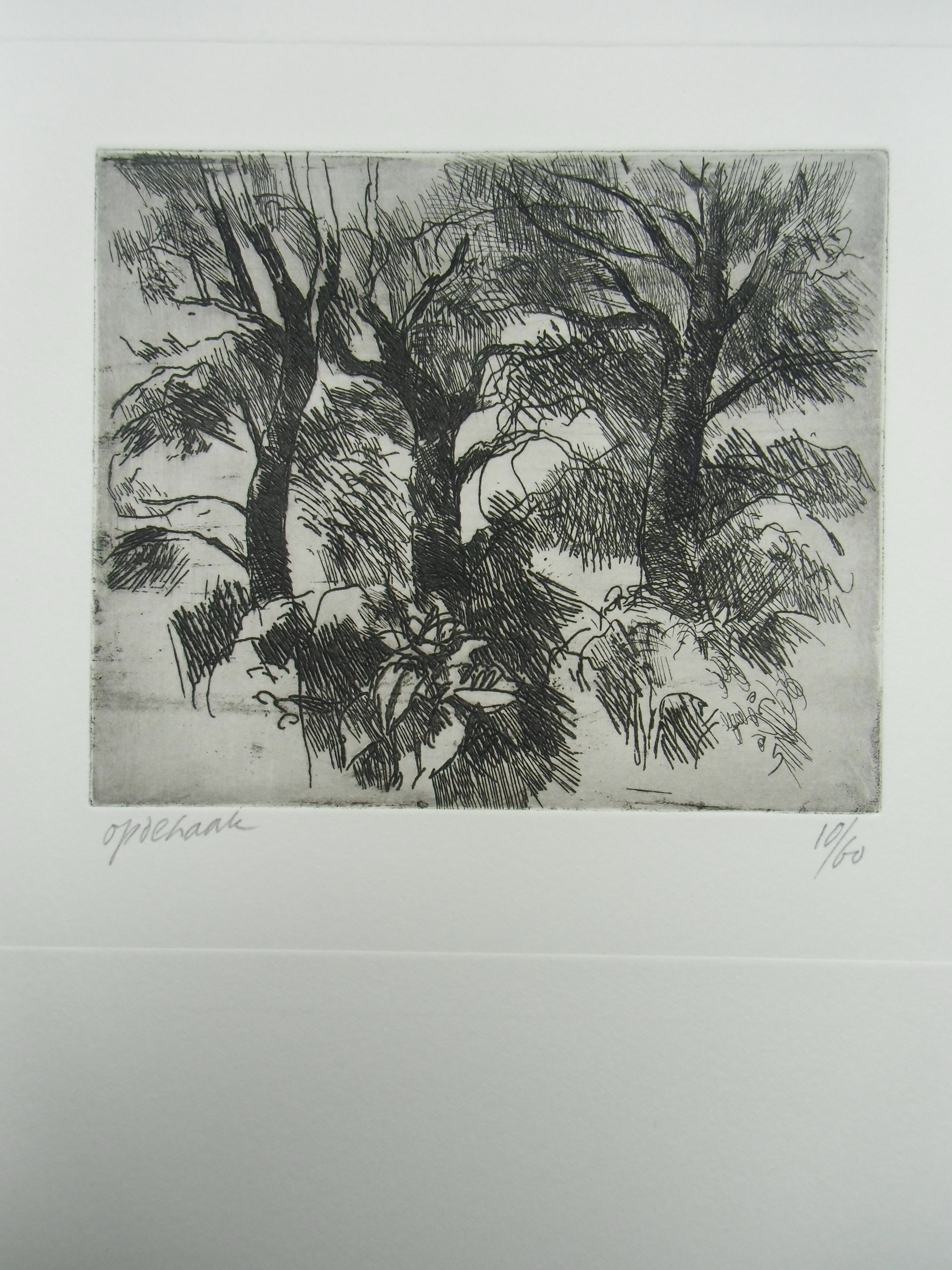 Harry op de Laak - TWEE LANDSCHAPPEN /// TWEE ETSEN VAN HARRY OP DE LAAK verkocht voor € 30!