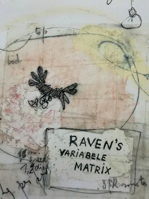 Panamarenko - Raven's Variable Matrix kopen? Bied vanaf 225!