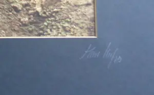 Paul Huf - AKKER / C-PRINT / 60x80cm / SIG / 1985 / PASSE-PARTOUT kopen? Bied vanaf 45!