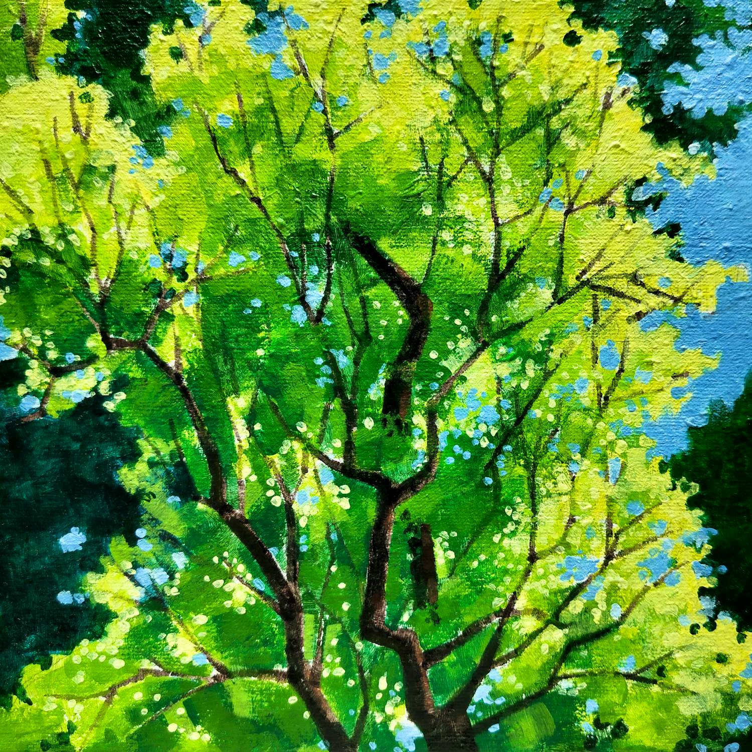 Willem Visser - Boom in tegenlicht kopen? Bied vanaf 70!