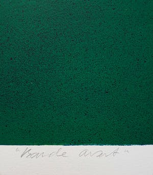 Jacqueline de Jong - Biljart, litho kopen? Bied vanaf 40!