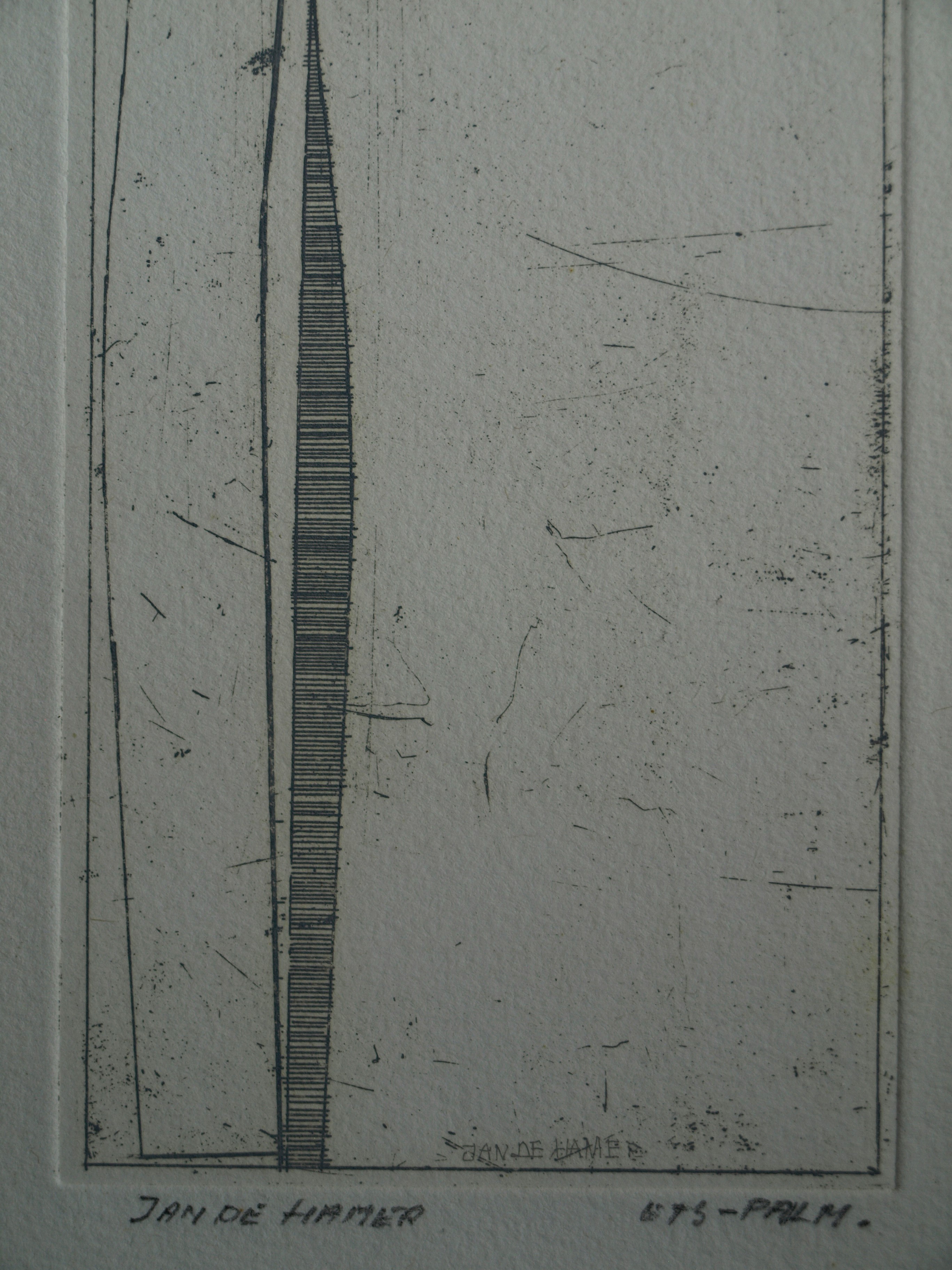 Jan de Hamer - Ets, Palm – gesigneerd – ca 1975 kopen? Bied vanaf 1!