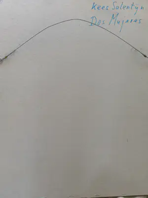 Kees Salentijn - Twee Vrouwen kopen? Bied vanaf 200!