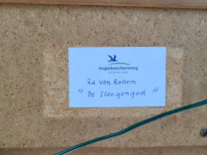 Buy Ru van Rossem - De Slangengod.? Bid from 65!