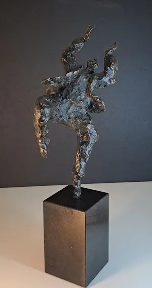 Wim Heesakkers - Dance kopen? Bied vanaf 50!