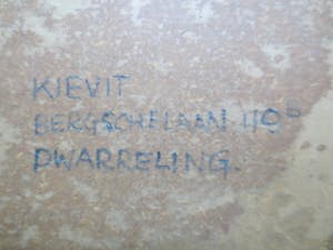 Cornelis Kievit - Dwarreling. kopen? Bied vanaf 100!