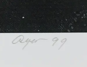 Frederick William Ayer - Hotel Bonafortuna kopen? Bied vanaf 1!