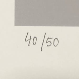 Elvira Bach - Anthurie kopen? Bied vanaf 250!