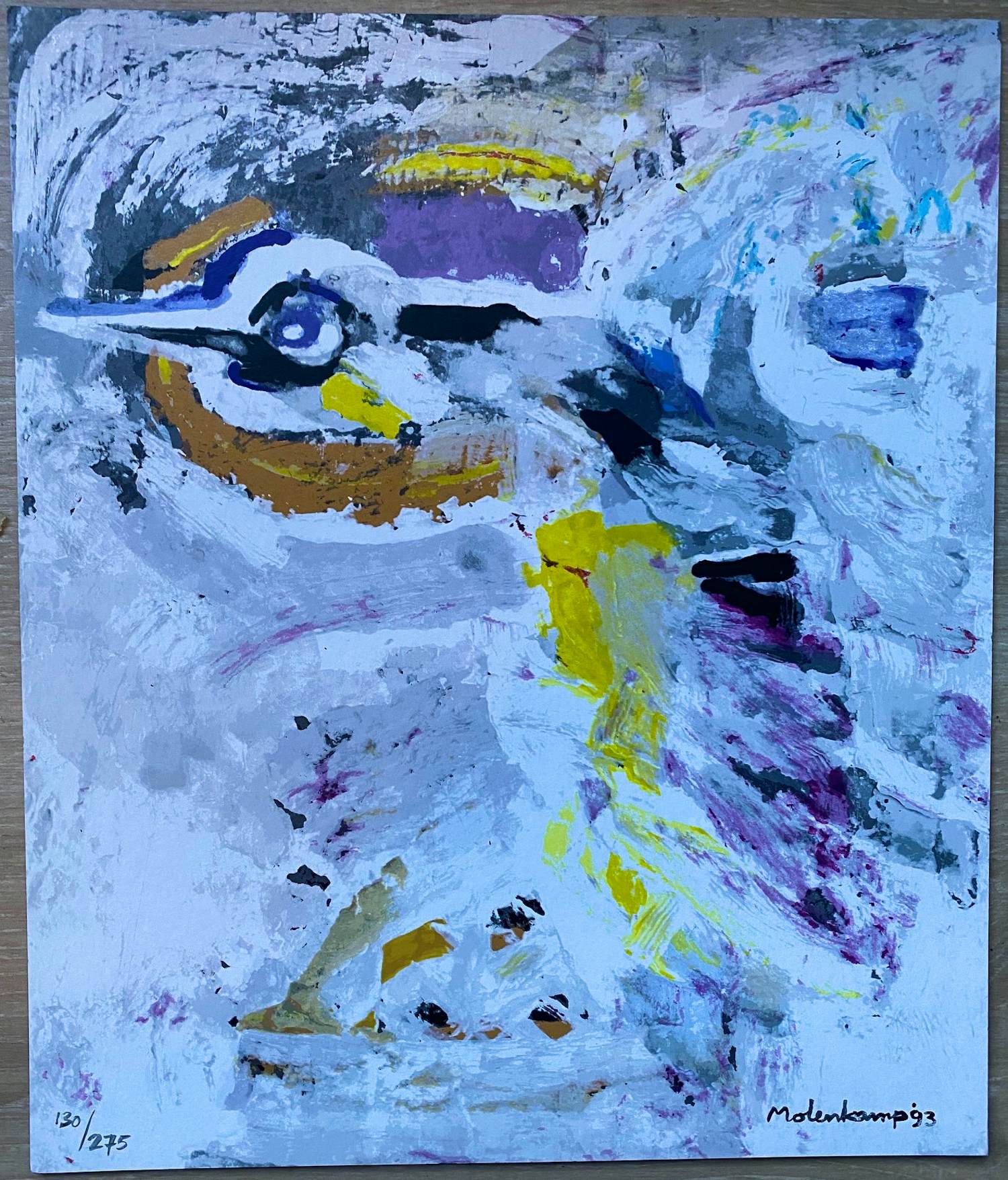 Nico Molenkamp - Schiet-vogel kopen? Bied vanaf 50!