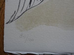 Vincent Rijnbende - Litho, Titel, Dezelfde boodschappen kopen? Bied vanaf 10!