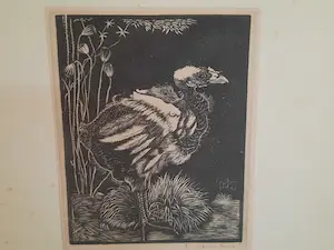 Jan Mankes - Nestkuiken kopen? Bied vanaf 1!