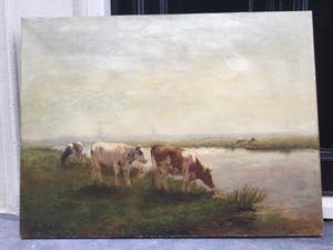 Fedor van Kregten - C3777, Koeien aan de waterkant kopen? Bied vanaf 450!