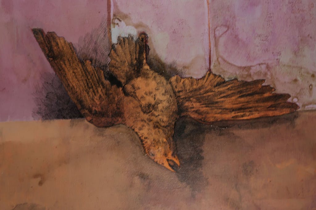 Manuel Menan - Manuel Menan: Gemengde techniek op papier, Vogel kopen? Bied vanaf 60!