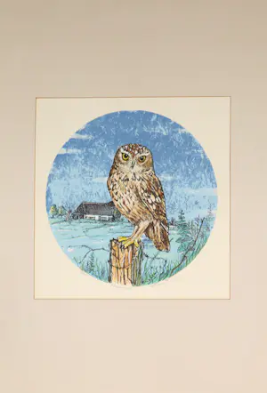 Erica Sijnja - Handbewerkte litho, Steenuiltje kopen? Bied vanaf 35!