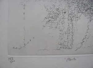 AcheterGregory Masurovsky - " PLANTE " 1965 signiert? Enchérissez de 150!