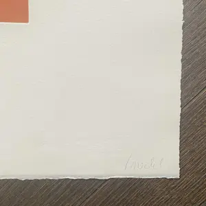 Rosemarie Trockel - Für Freunde und Förderer kopen? Bied vanaf 1000!