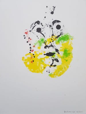 Jef Diederen - Jef Diederen1920-2009 4x kleurenlitho's gesigneerd, genummerd & gedateerd kopen? Bied vanaf 95!