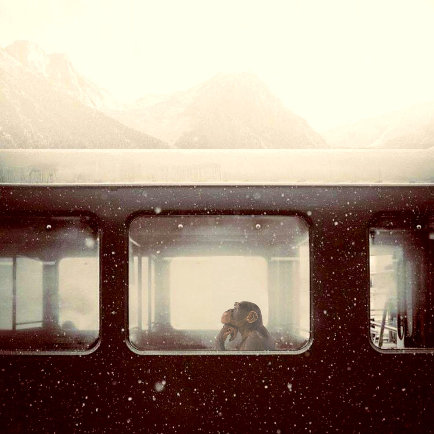 Mr. Strange - To Be or not to Be II verkocht voor € 85!