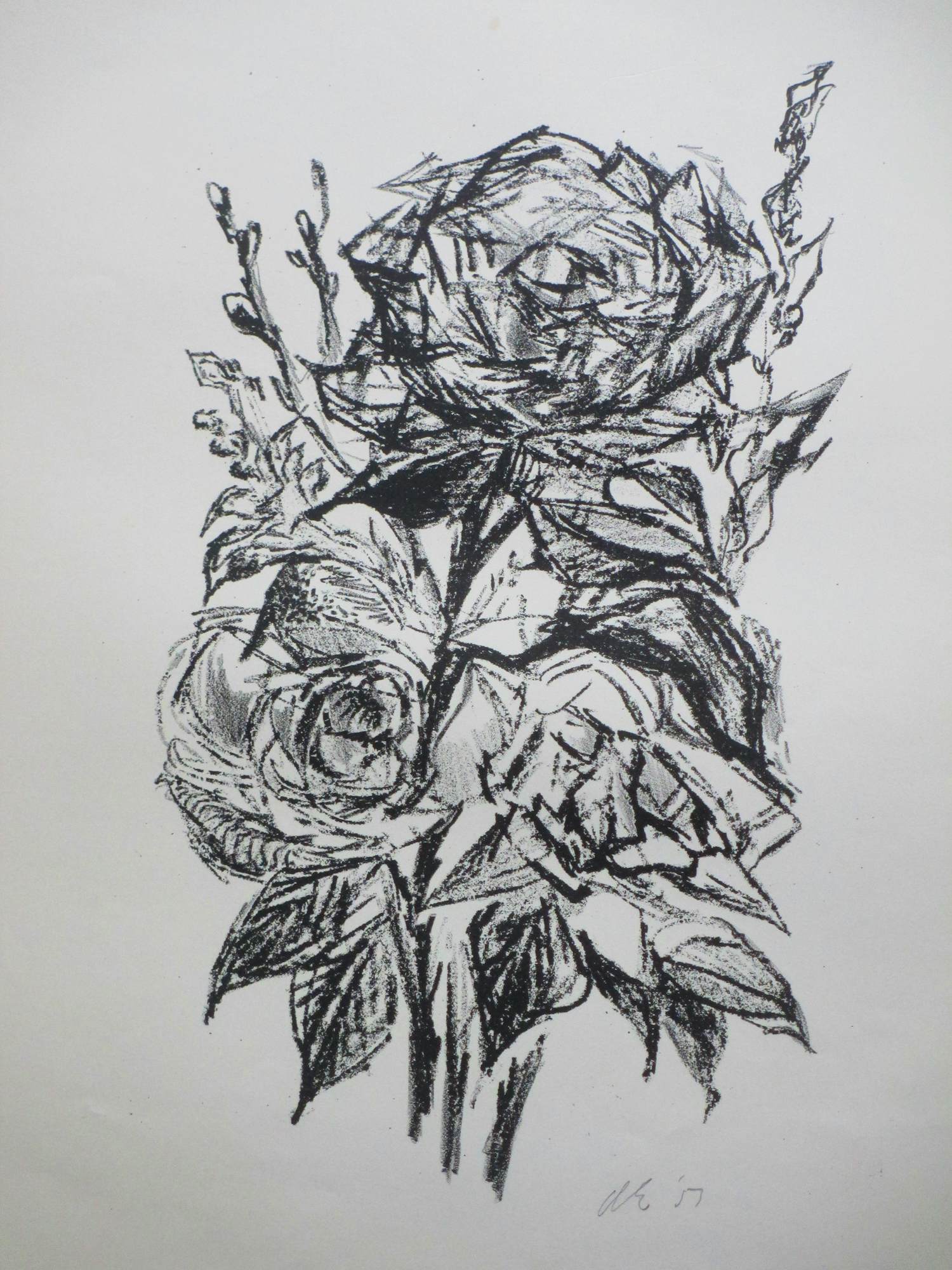 Dick Elffers - Vegetatie - Litho kopen? Bied vanaf 60!