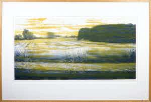 Esther Sluiter - Zeefdruk, Cruising - Ingelijst (Zeer Groot) verkocht voor € 50!