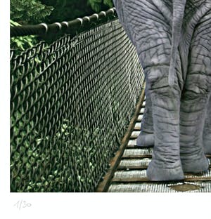 Mr. Strange - Passage du Pont Jane kopen? Bied vanaf 35!