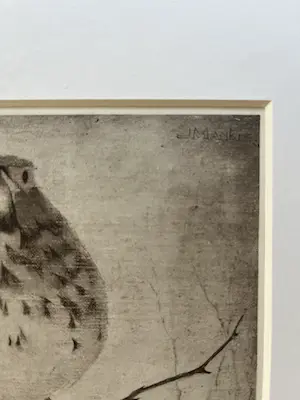 Jan Mankes - Originele Heliogravure - Lijster op Tak 1923 kopen? Bied vanaf 165!