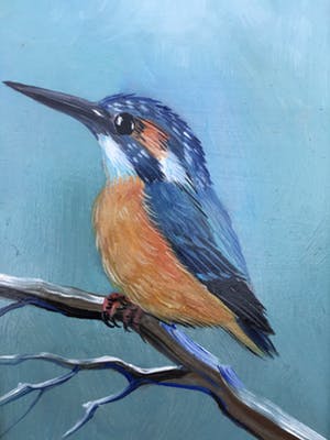 Henk Poeder - Ijsvogel kopen? Bied vanaf 50!