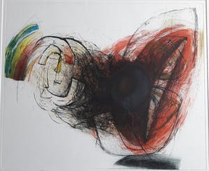 Hans Vredegoor - Black-Light kopen? Bied vanaf 80!