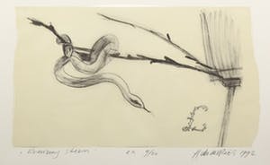 Auke de Vries - Litho, Slangen - Ingelijst kopen? Bied vanaf 100!