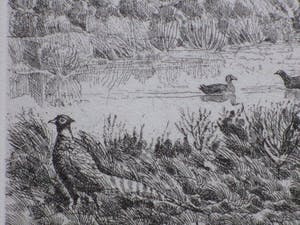 Gerard Lutz - Duinlandschap met vogels en fazant - Ets kopen? Bied vanaf 1!