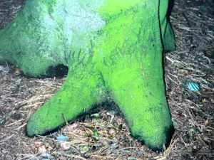 Elly Brethouwer - 'Groenboomstam' kopen? Bied vanaf 1!