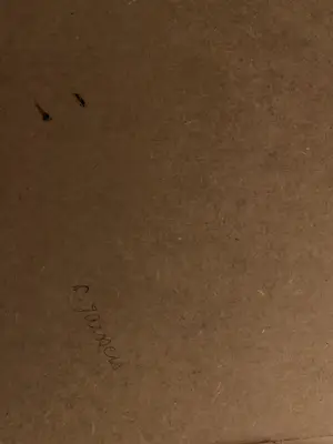 Onbekend - Wilde golven kopen? Bied vanaf 270!