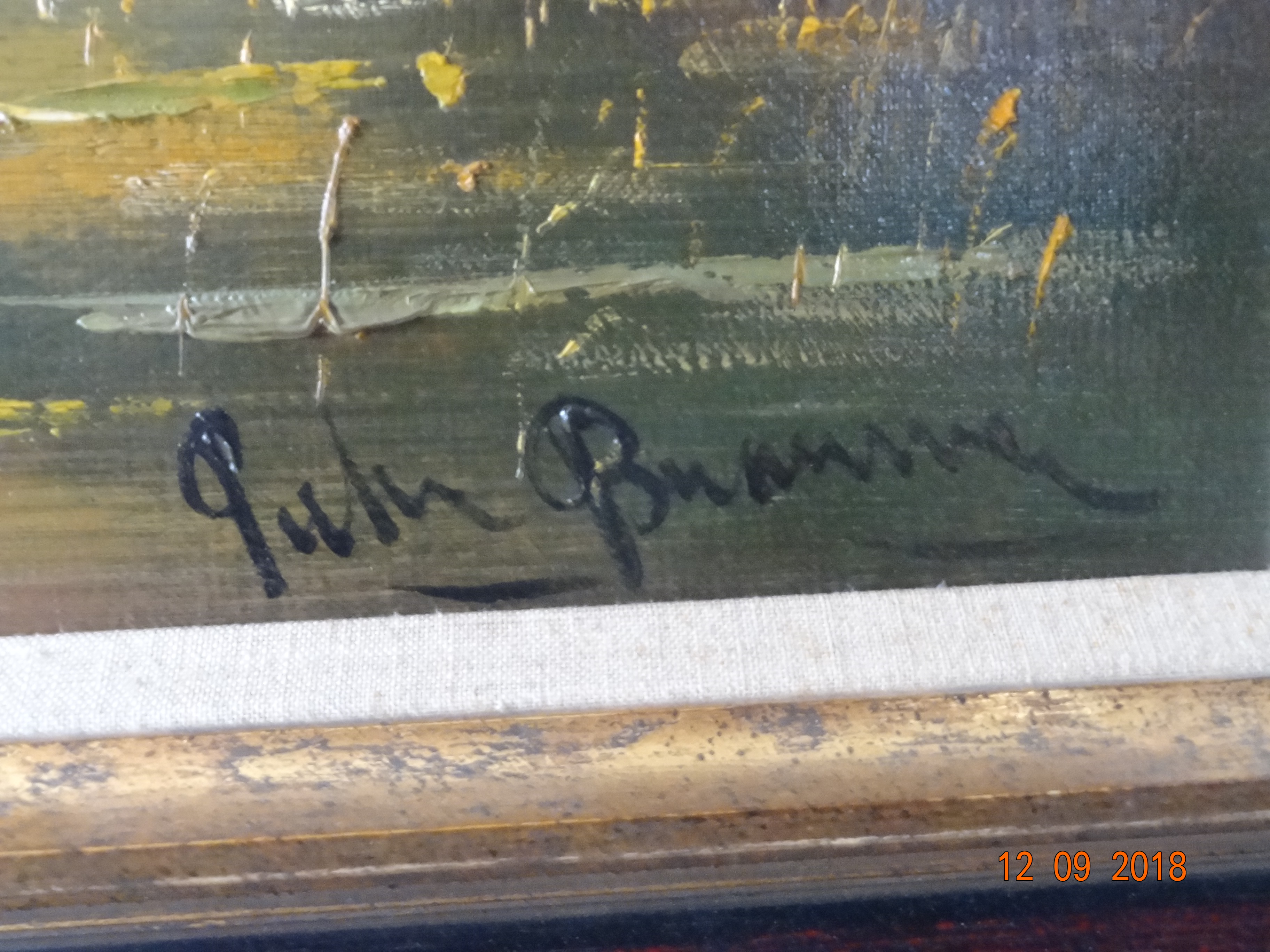 Peter Brouwer - Bootje tussen het riet kopen? Bied vanaf 125!