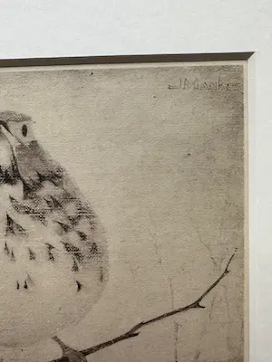 Jan Mankes - Heliogravure " Lijster op tak " kopen? Bied vanaf 175!