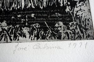 Jose Calsina - Het weiland kopen? Bied vanaf 50!