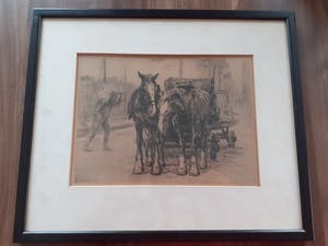 Waalko Jans Dingemans (sr.) - Paarden op de kade in Groningen kopen? Bied vanaf 50!