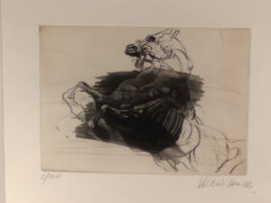 Claude Weisbuch - Steigerend paard kopen? Bied vanaf 75!