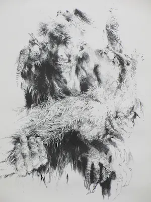 Jan Mensinga - Man met vier vogels - Litho kopen? Bied vanaf 1!