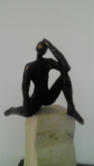 Brons (Onbekend) - Denker op niveau kopen? Bied vanaf 49!