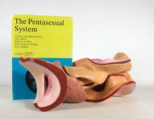Merijn Bolink - Beschilderd polyester, The Pentasexual System (incl. gesigneerd boek) kopen? Bied vanaf 50!