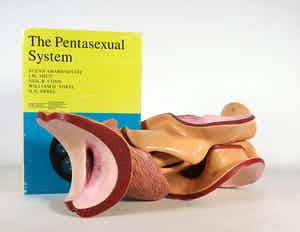 Merijn Bolink - Beschilderd polyester, The Pentasexual System (incl. gesigneerd boek) verkocht voor € 50!
