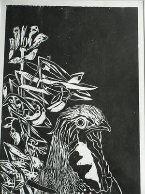 Jatie van Melle - Grote ingelijste houtsnede , Sponsorgeschenk BKR 2004 – nr. 27/40 kopen? Bied vanaf 50!