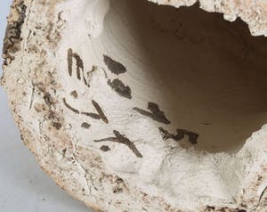 Eva Jorritsma-Thone - Aardewerk, Balanceren kopen? Bied vanaf 70!