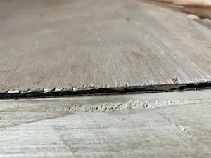 Niet of onleesbaar gesigneerd - Boeket bloemen kopen? Bied vanaf 1!