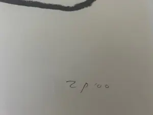 Zoltin Peeter - De val kopen? Bied vanaf 100!